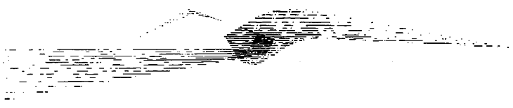 Anthroposophy Society in Canada Logo